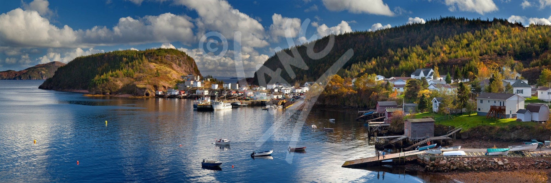 Pool's Cove